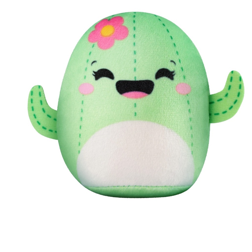 Maritza the Cactus Squishmallow NWT